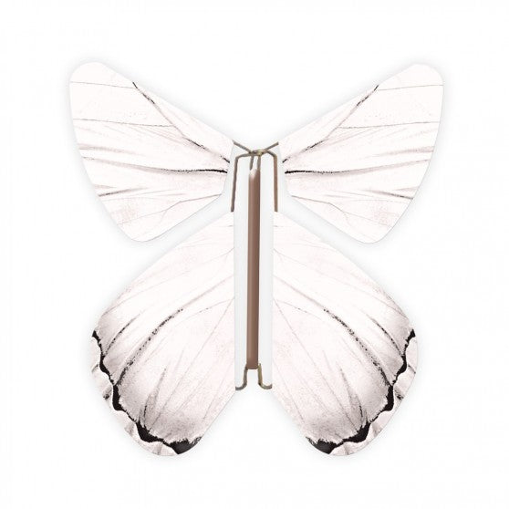 Impulse White Butterfly