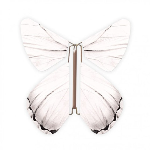 Impulse White Butterfly